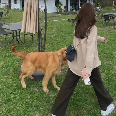 宾果地狱 在线观看