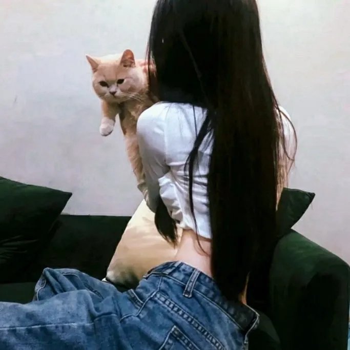 芬奇达